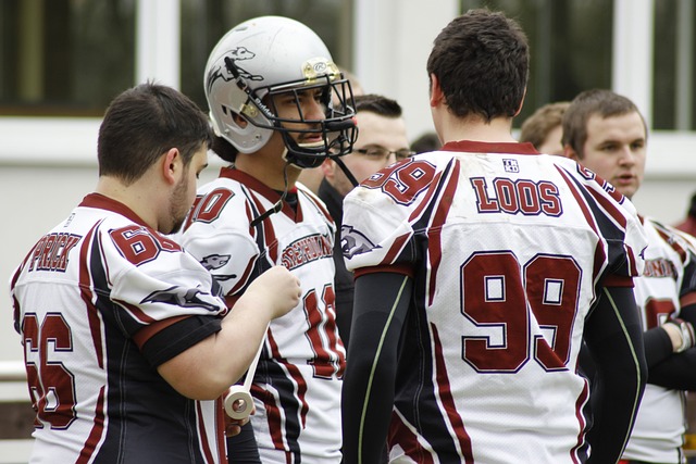 罗马尼亚的 罗马尼亚的