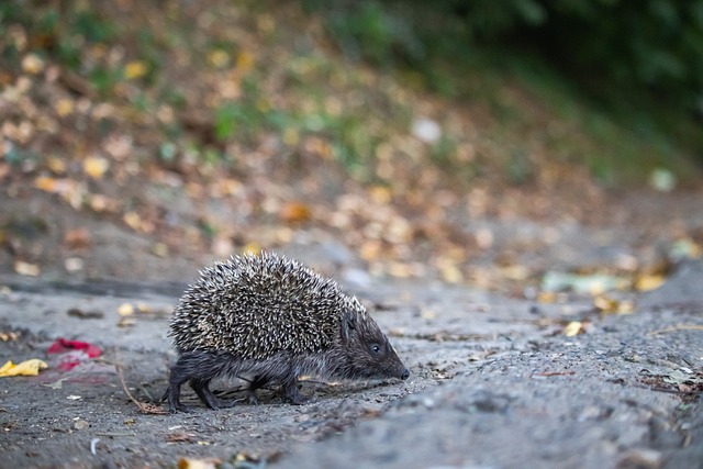 这一消息在 这一消息在