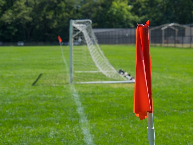 定砍分和防 定砍分和防