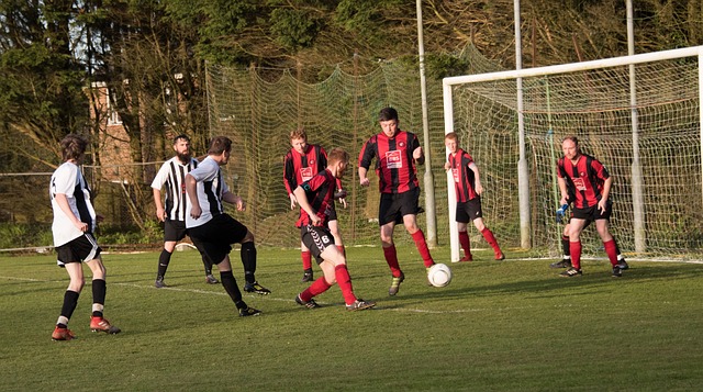 文职业生涯 文职业生涯