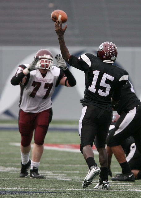 拉齐奥获得 拉齐奥获得