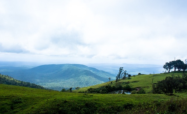 了巨大压力 了巨大压力