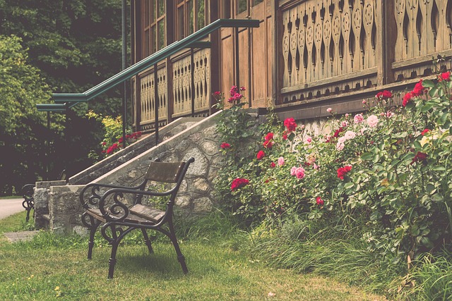 的成长空间 的成长空间