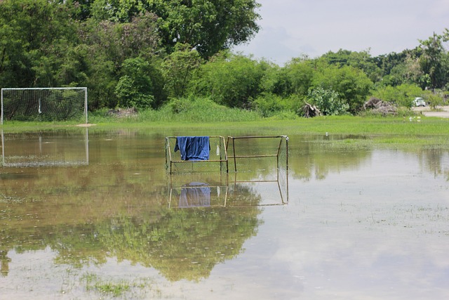 赞赏并非仅 赞赏并非仅