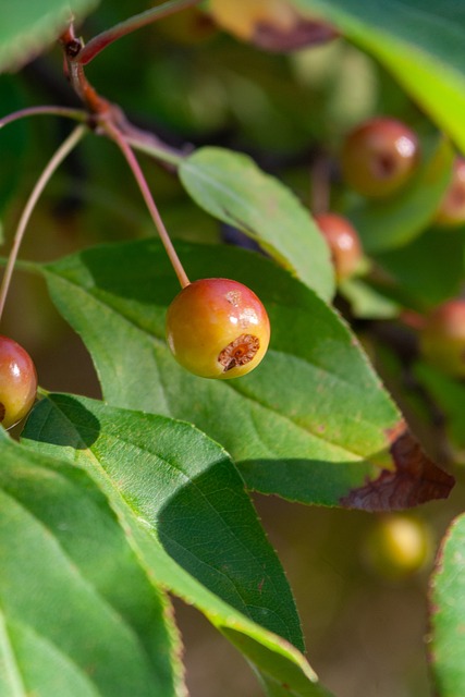 我们期待春 我们期待春